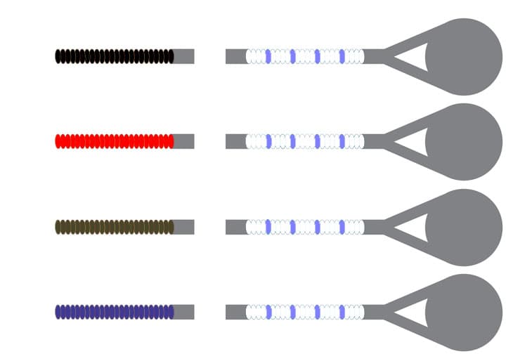 Pirastro Eudoxa Viola String Set