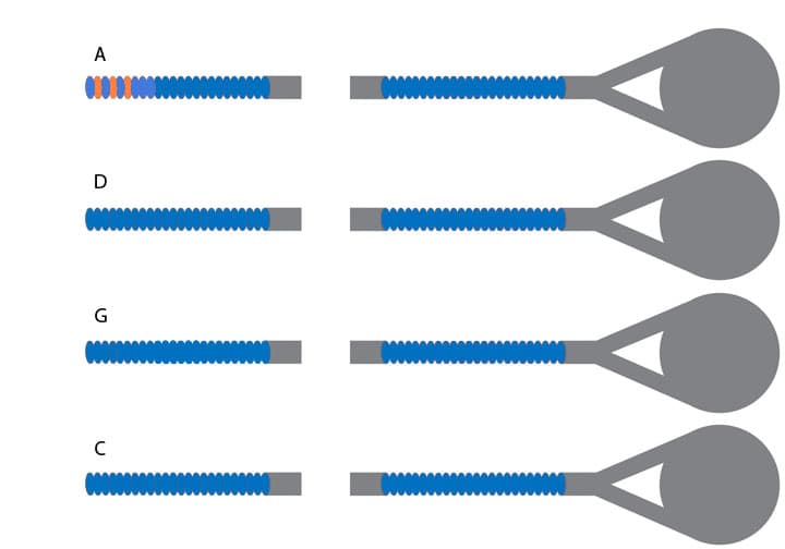 Jargar Cello String Set - Medium Gauge