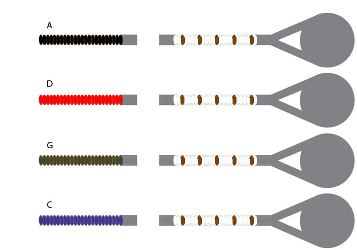 Pirastro Passione Viola String Set Medium