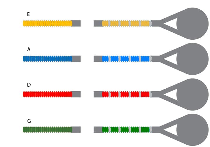 Overture Ultra Violin String Set - 4/4 size - Medium Gauge
