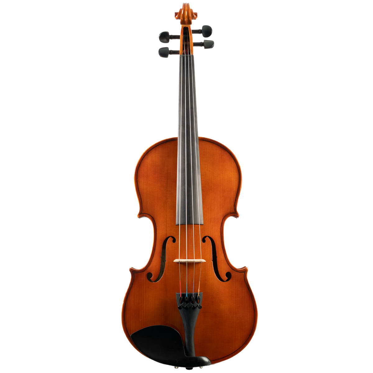 Blemished Franz Hoffmann Amadeus Viola