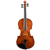 Blemished Franz Hoffmann Amadeus Viola