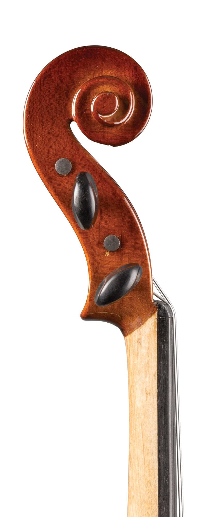 SharWay Standard Violin Outfit