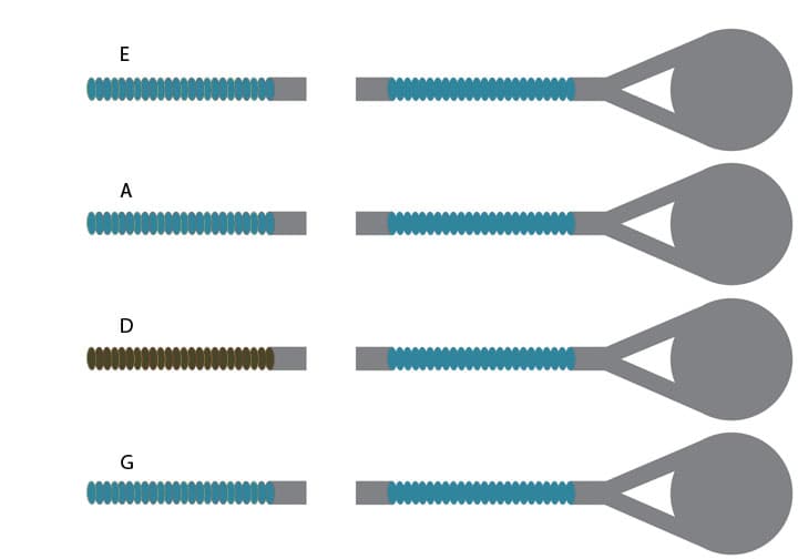Jargar Violin Set-Ball End E-4/4 size-Medium Gauge
