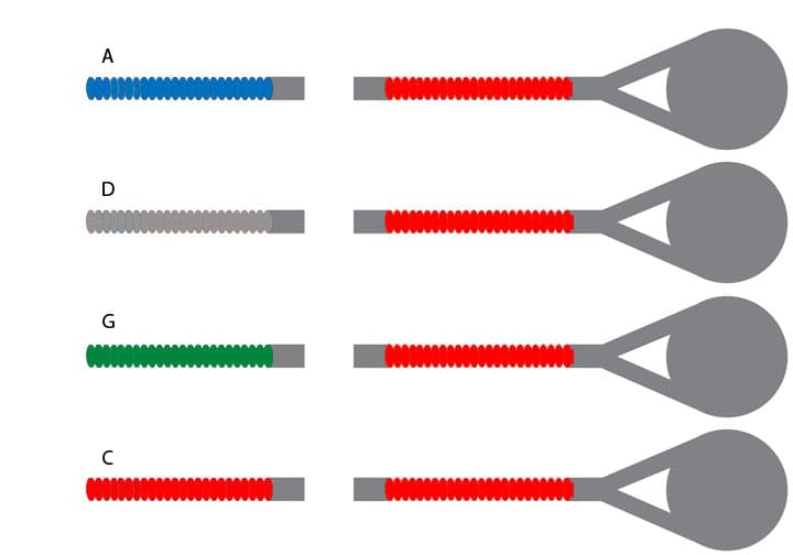 Super-Sensitive Red Label Cello String Set - 1/2 Size - Medium Gauge