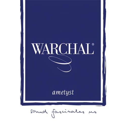 Warchal Ametyst Violin D String