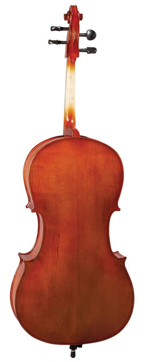 Blemished Franz Hoffmann Amadeus Cello